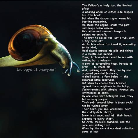 Quotes About Biology 的图像结果