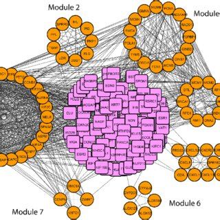 Image result for Mcode Tutorial Cytoscape