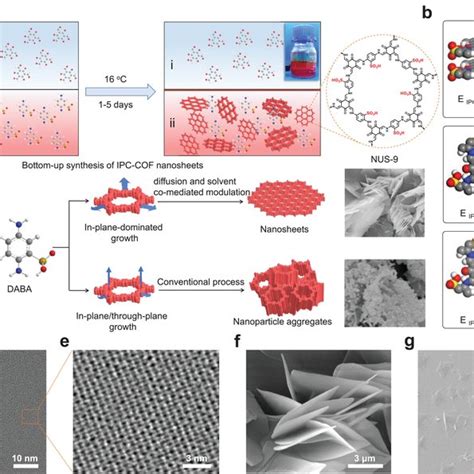 Schematic representation of the synthesis of COFs 8−10 in which a wavy ...