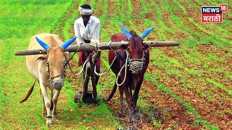 Agriculture News : कर्जात सवलत, स्वतंत्र वीज कंपनीची स्थापना, राज्य ...