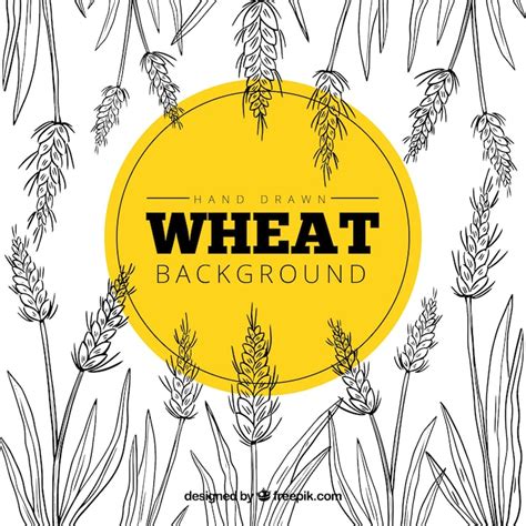 Rice drawing Images - Free Download on Freepik