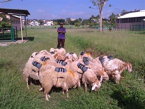 Outreach Project on Methane Emission