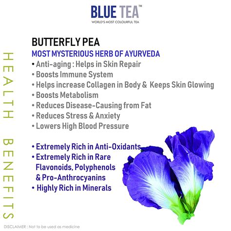 17 Incredible Blue Butterfly Pea Flower Tea Health Benefits - TeaFame