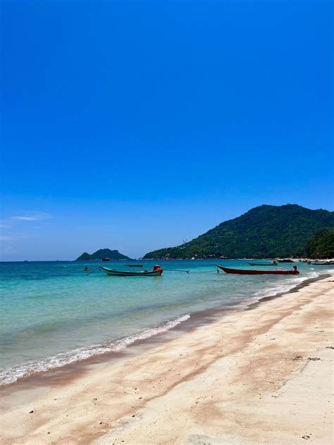 Dive Into the Study Abroad Experience! by Johanna Clark – CofC Abroad