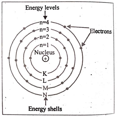 Image result for Class 9 Science Chapter 4