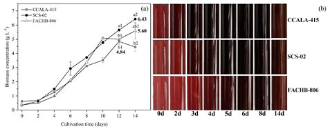 Comparison of Production and Fluorescence Characteristics of ...