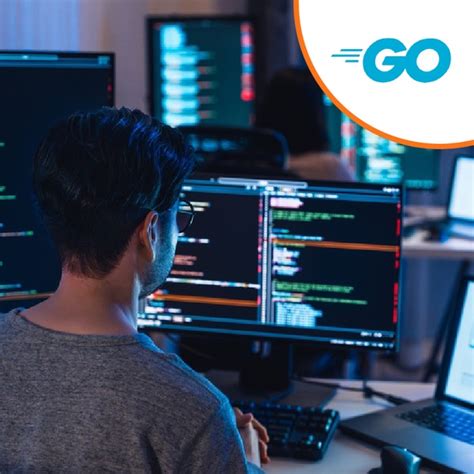 Image result for Learn Go Programming Language