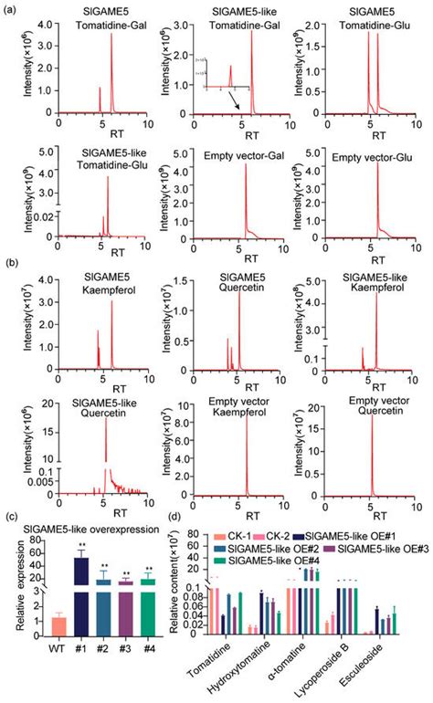 The SlDOG1 Affect Biosynthesis of Steroidal Glycoalkaloids by ...