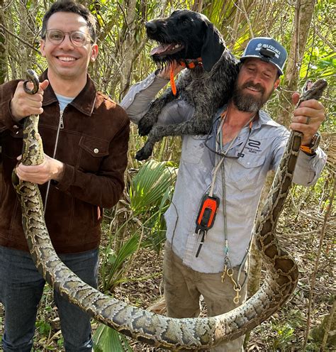 Image result for Python Cowboy Hunts