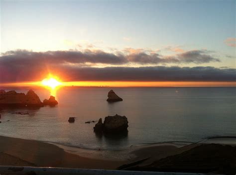 ARCTIC SEAGULL - BENAGIL TRIPS (2026) All You Need to Know BEFORE You ...