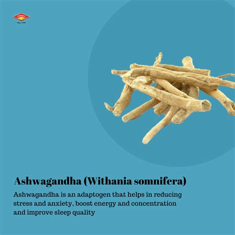 Natural Stress Relief: Ashwagandha & Makardhwaj Rasayan Vati