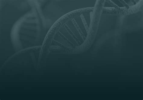 DNA PCR 的图像结果