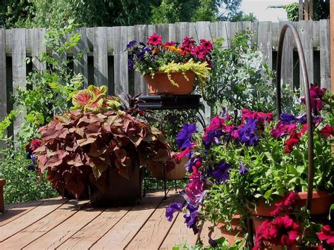 Making a Patio Flower Container Garden Tips | How To Build A House