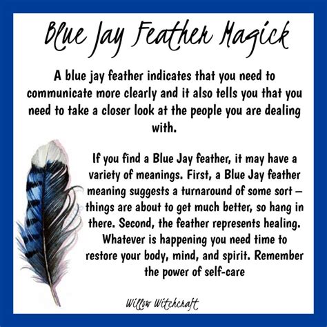 Blue jay symbolism spiritual meanings of seeing blue jays – Artofit