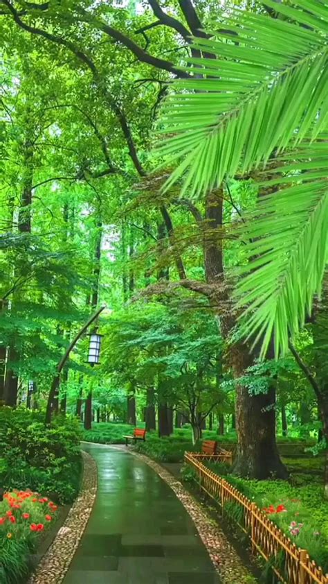 Love Nature 的图像结果