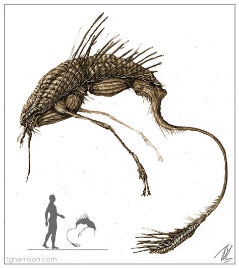 Image result for Alien Parasite Horror