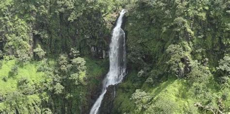 Places of Interest Nearby | Hotel Rainforest