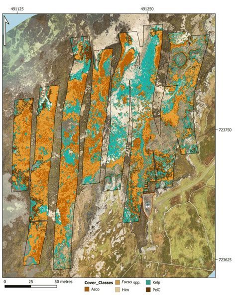 Image result for Spectral Angle Mapper Sam