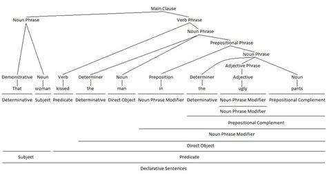 Noun Complement Examples 的图像结果