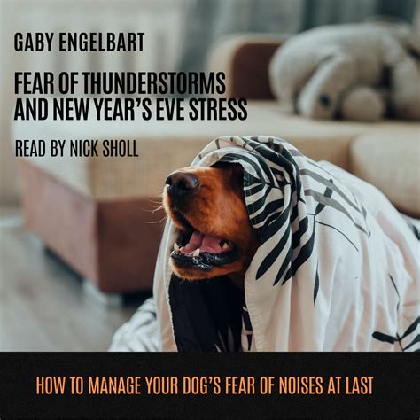 Fear of Thunderstorm and New Year's Eve Stress: How to manage your dog's fear of noises and to ...
