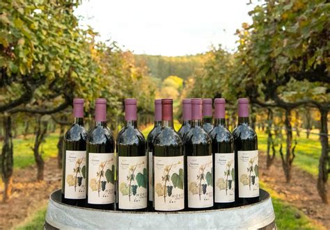 Southwest Mountains Vineyards - Wine and Country Life