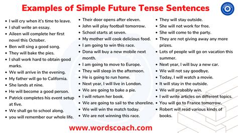 Examples of Simple Future Tense Sentences - Word Coach