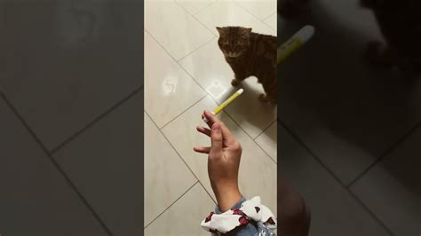 Image result for Pen Spinning Basic Tutorial