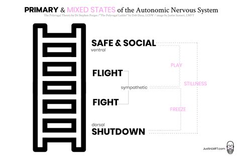 Image result for Autonomic Ladder