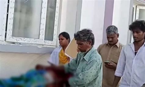 Vellore man suffers bullet injury while herding cattle in forest