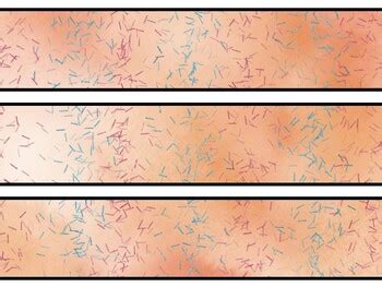 Peach Bulletin Board Decor Kit, Peach Letters school resource by Nitin ...