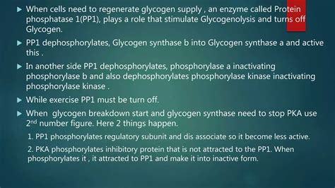 Reciprocal Regulation of Glycolysis and Gluconeogenesis; & Reciprocal Regulation of Glycogenesis ...