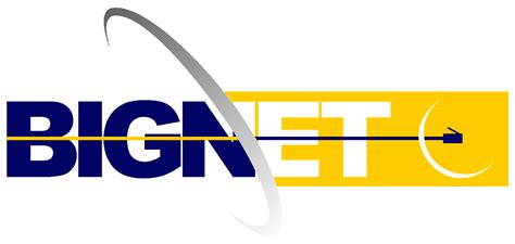 bigmirnet