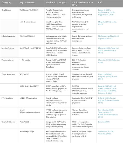 Frontiers | Atypical Hippo signaling network: uncovering novel insights into head and neck ...