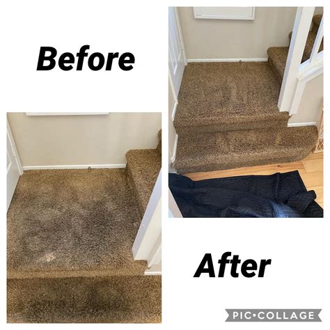 Dr. Carpet Pet Stain Removal Formula - Dr. Carpet Irvine | Carpet ...