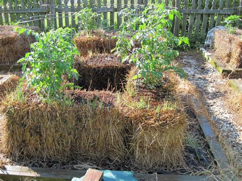 Straw Bale Garden Edging at Erin Bergan blog