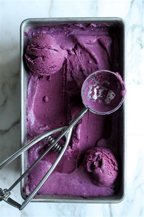 Fresh Blueberry Ice Cream (Vegan) - Katiebird Bakes