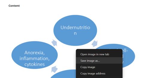 NTEP Training System
