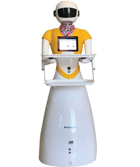 Image result for Ruby Robot