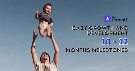 Image result for Normal 12 Month Old Development