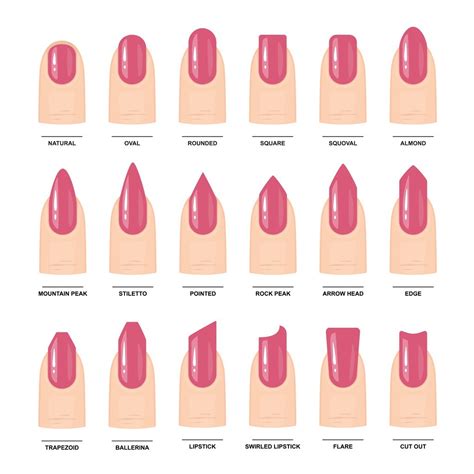Types Of Nail Tip Shapes - Design Talk