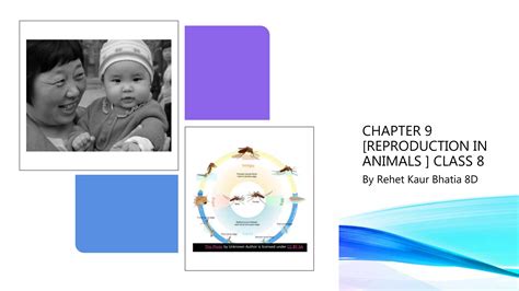 Image result for How Does Reproduction Work Class 8