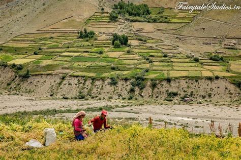Travel guide to Pin Valley in Spiti, Himachal Pradesh