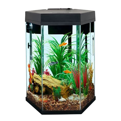 50 Gallon Hexagon Fish Tank Dimensions - Telnyet Aquarium Fish