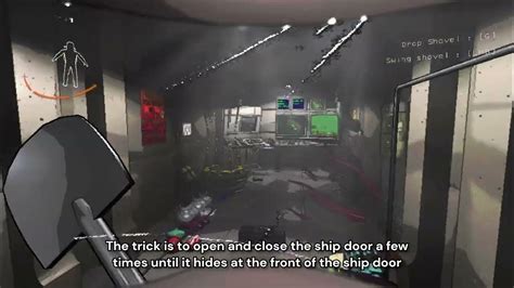 Image result for Bush Wolves