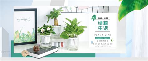 第19届中国国际花卉园艺展览会5月10日正式开幕~ - 热点新闻 - 新农资360网|土壤改良|果树种植|蔬菜种植|种植示范田|品牌展播|农资微专栏