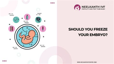 Should You Freeze Your Embryo?