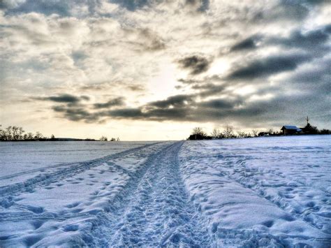 Snow Bride Watch Free 的图像结果