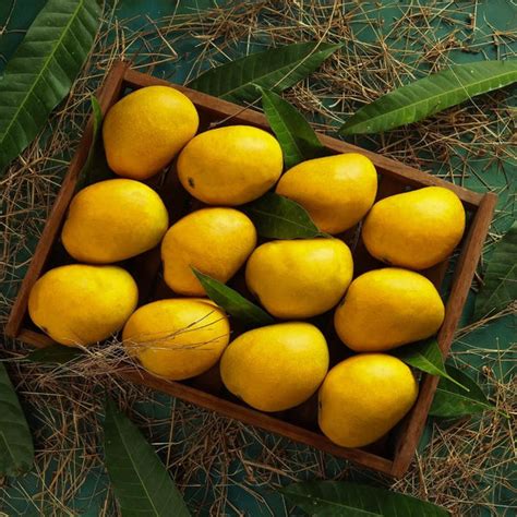 Buy Premium quality Mangoes Online – AlphonsoMango.in
