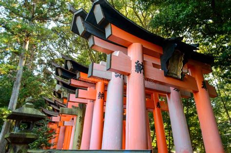 Japan Tourist Spot 的图像结果