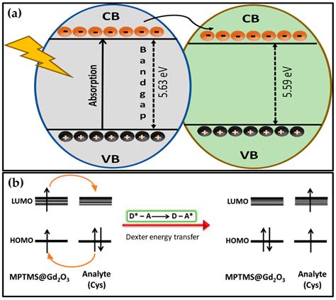 3-Mercaptopropyl Trimethoxysilane @ Gadolinium Oxide Nanoprobes: An ...